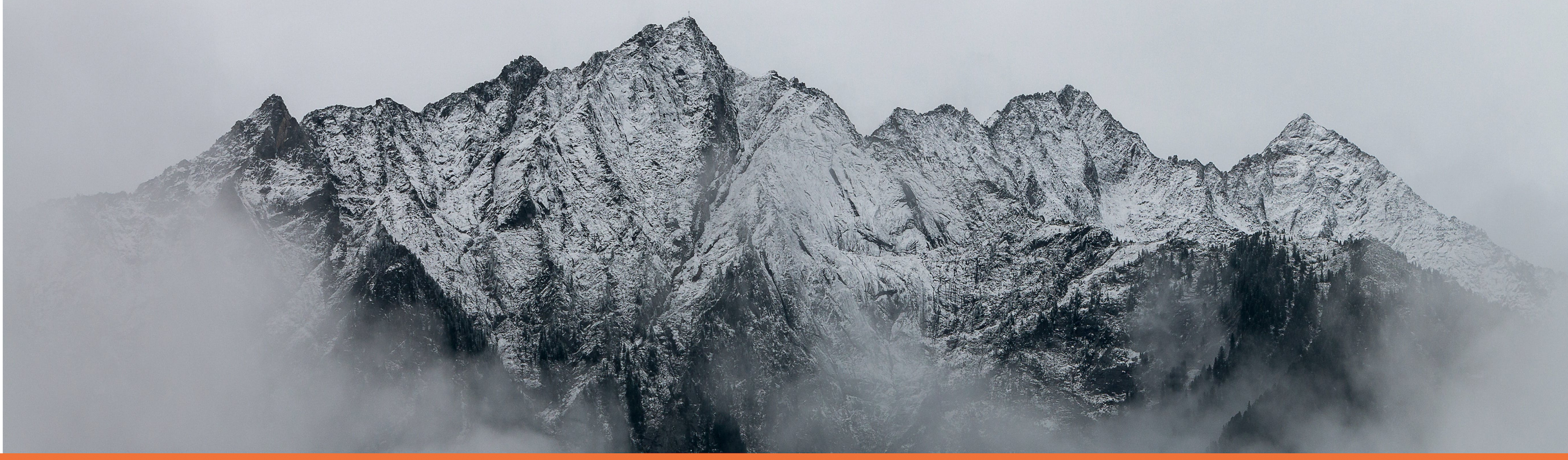 Privacy Policy Page header